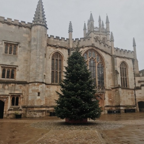 studykhaleesi:magdalen college, oxford (december 2017)