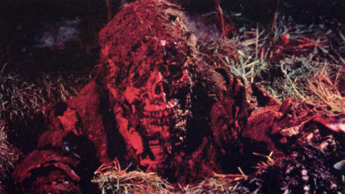 brundleflyforawhiteguy:  Masters of Horror: George A. Romero