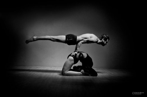 weamplify: Peacock and Camel Synergy - a combination of two postures. one being balance and strength