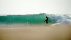 tigersurfshop:  Steph Gilmore Single Fin Slide Photo by Morgan Masseen