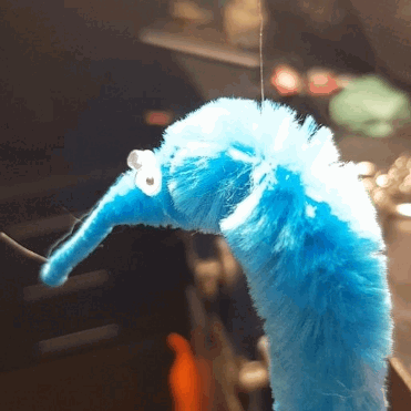 Truly A Sad Sight When Another Worm Throws Their Life Away