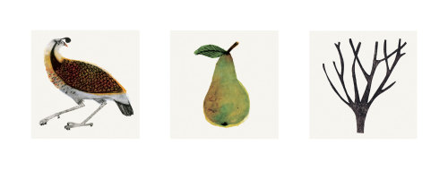 Issue VII The Christmas Edition - Beatrice Forshall