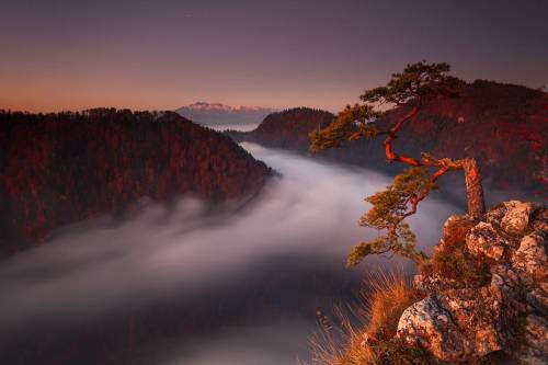 Sokolica, PieninyPhoto by Karol Nienartowicz