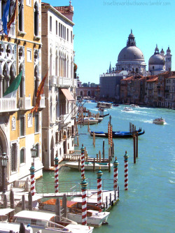 “We Danced Our Youth In A Dreamed Of City, Venice, Paradise, Proud And Pretty.