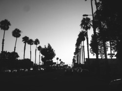 S-Flexing:  Okay So Heres A Photo I Took Back In Cali And I Miss California So Much