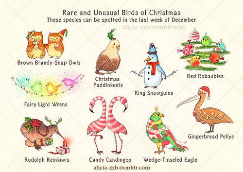 alicia-mb:Merry Christmas everyone! Keep your eyes out for these festive birds!Hope you all have a brilliant, fun, fanta