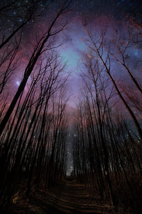evocates:  Marty.FM 