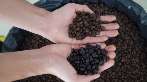 Solo enEntre Sorbos Café  hallarás el auténtico sabor de Chiapas  ¡Pruébalo! Te encantará ☕