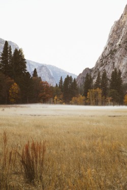 stephencrutch: Yosemite Valley