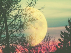 wanderlust