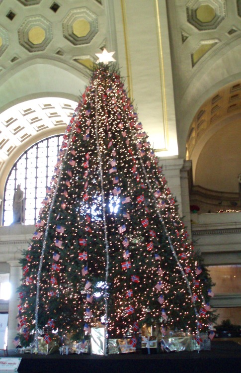 Holiday Tree With US and Norwegian Flags, Union Station, Washington, DC, 2006.