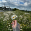 lildaisybabi
