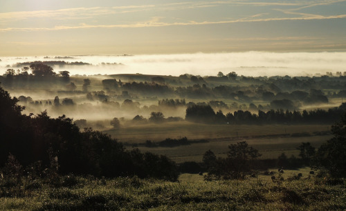 Good morning Alvechurch (by reaspring)