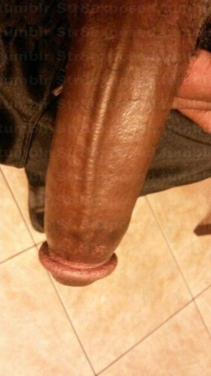 str8exposed:  First baited, then tricked, now exposed… http://www.str8exposed.tumblr.com