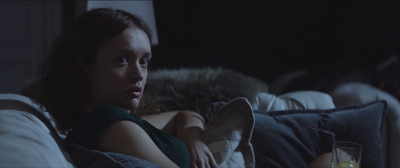 artfilmfan:  Thoroughbreds (Cory Finley, 2017)cinematography: Lyle Vincent