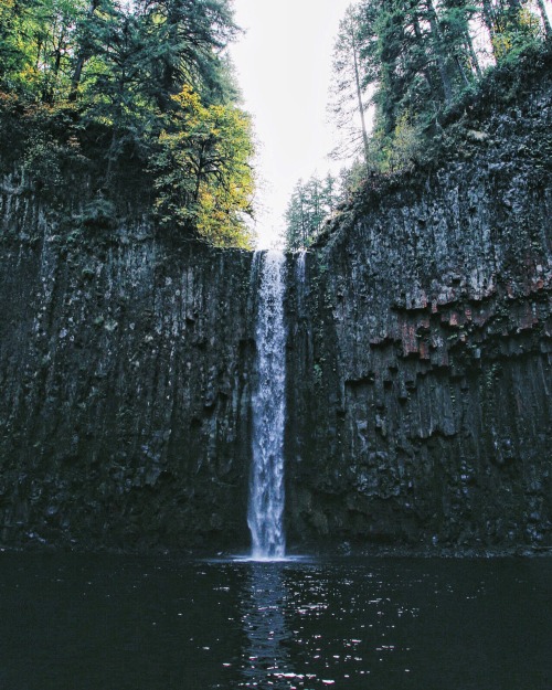 thesteveoprojekt:  maxfitsocal:  wbsloan:  Abiqua Falls   The more I see of this beautiful state, the more enchanting I find it.  It is a wonderfully enchanting state. I love the PNW.