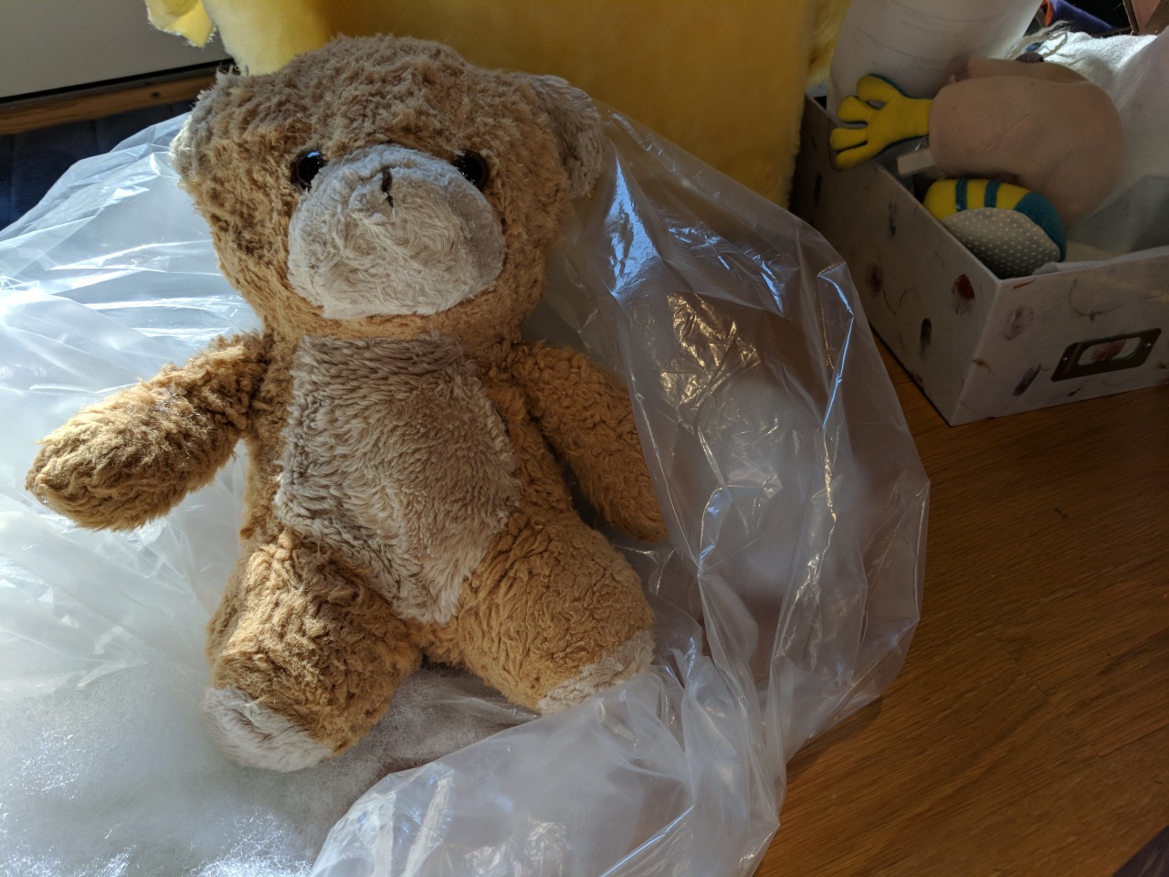 Teddy for Christmas