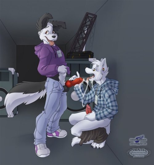 furry-iso:Wolfblade