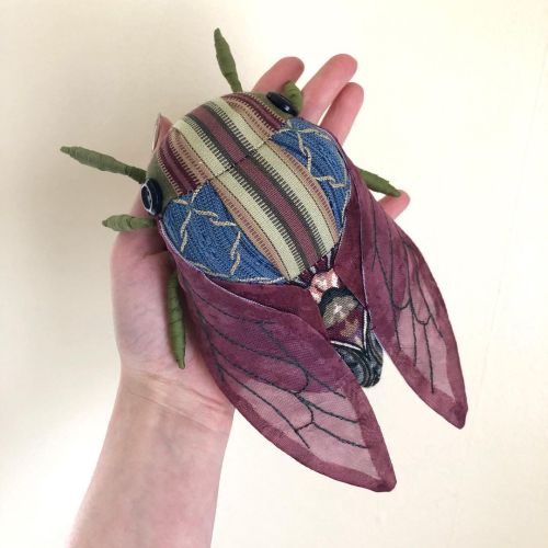 This little cicada with closed wings is Curtis. He can’t wait to scream his way to a new home! Etsy 