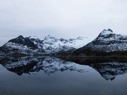 neveralonealwayswithyou: Lofoten, Norway Original Photography by neveralonealwayswithyou.tumb