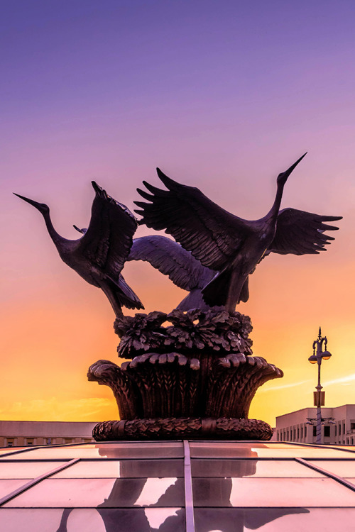 The fountain at The Independence Square, Minsk  