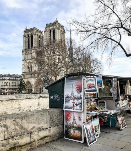 lilyadoreparis:Notre-Dame et les Bouquinistes by Chrissen.