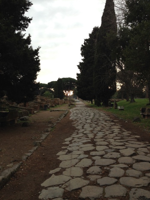 On the road from Ostia to Rome. 