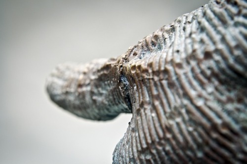 myampgoesto11:  Metal sculptures by Darius Hulea 