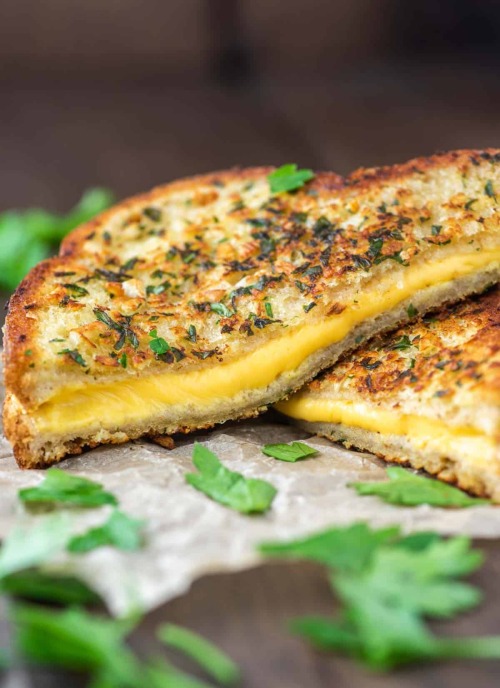 savorytoothgirl:  Garlic Bread Grilled Cheese