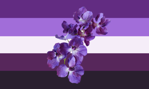 Flags For Violet Bisexual/violet Bisexuality