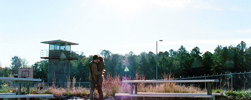 nicosmirallegro:  I want to marry Maggie. And we don’t have to have a wedding. I