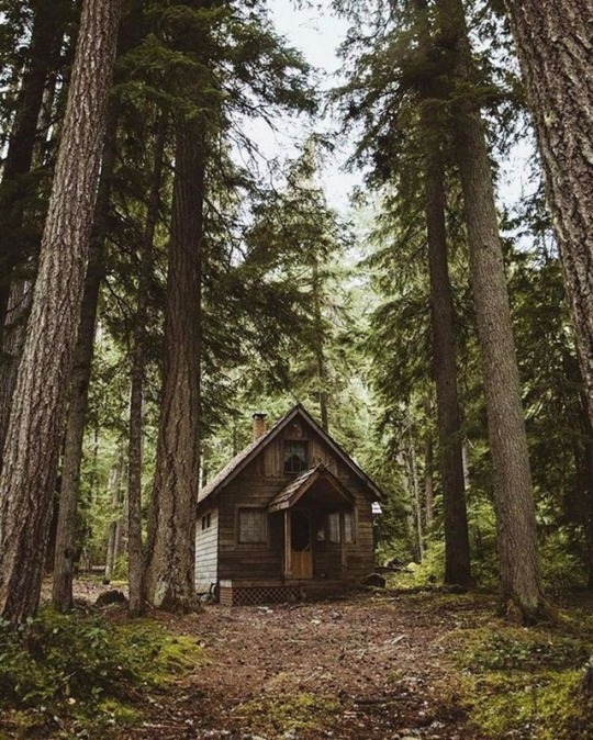 dombruce2016:  randybehere:    The simple things…