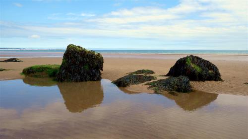 On the Beach.