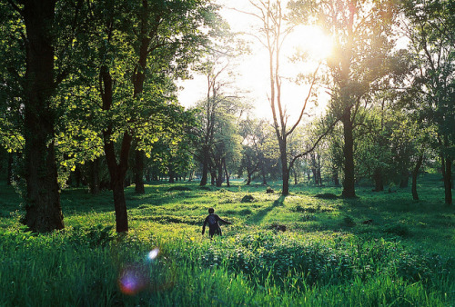 arquerio: untitled by tanya_september on Flickr.