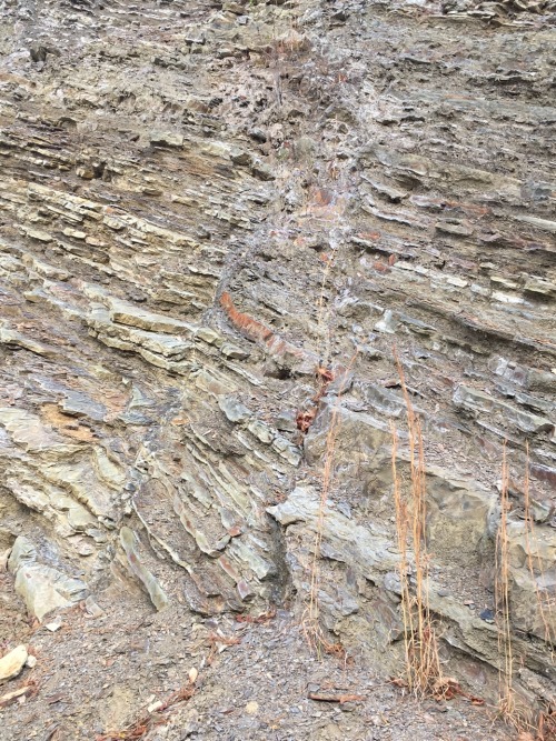 the-tales-of-a-geology-student:Here are some pictures from a recent geology field trip. There’s a bi