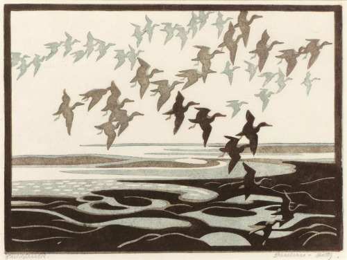 Norbertine von Bresslern-Roth, zebra finch, ducks, fantails, 1922. Cat, 1925. Crabs, 1926. Color lin