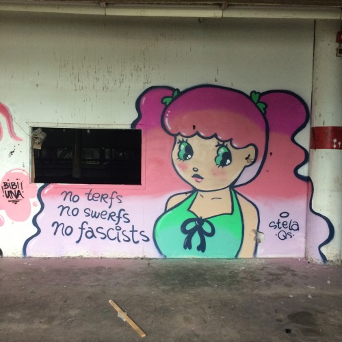 newcontinent: femme-crimes: NO TERFS NO SWERFS NO FASCISTS [image desc: graffiti of a person with pi