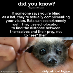 did-you-kno:  If someone says you’re blind