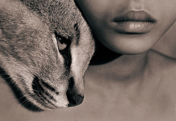lohrien:  Ashes and Snow by Gregory Colbert Photographer/filmmaker Gregory Colbert