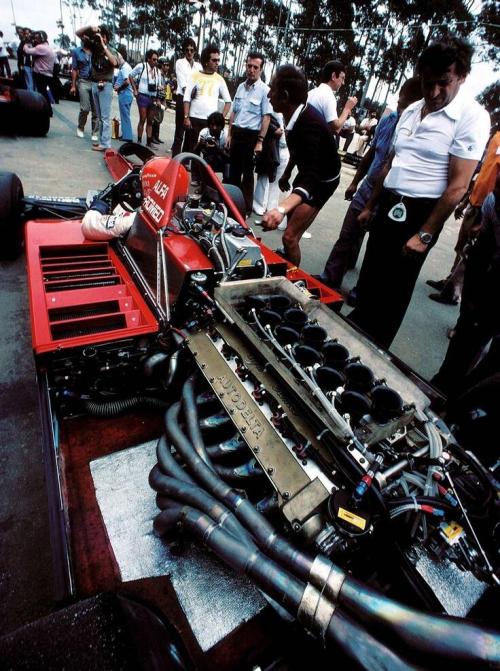 itsbrucemclaren:  Niki Lauda -Brabham - 1979 - V12 Alfa Romeo - Interlagos