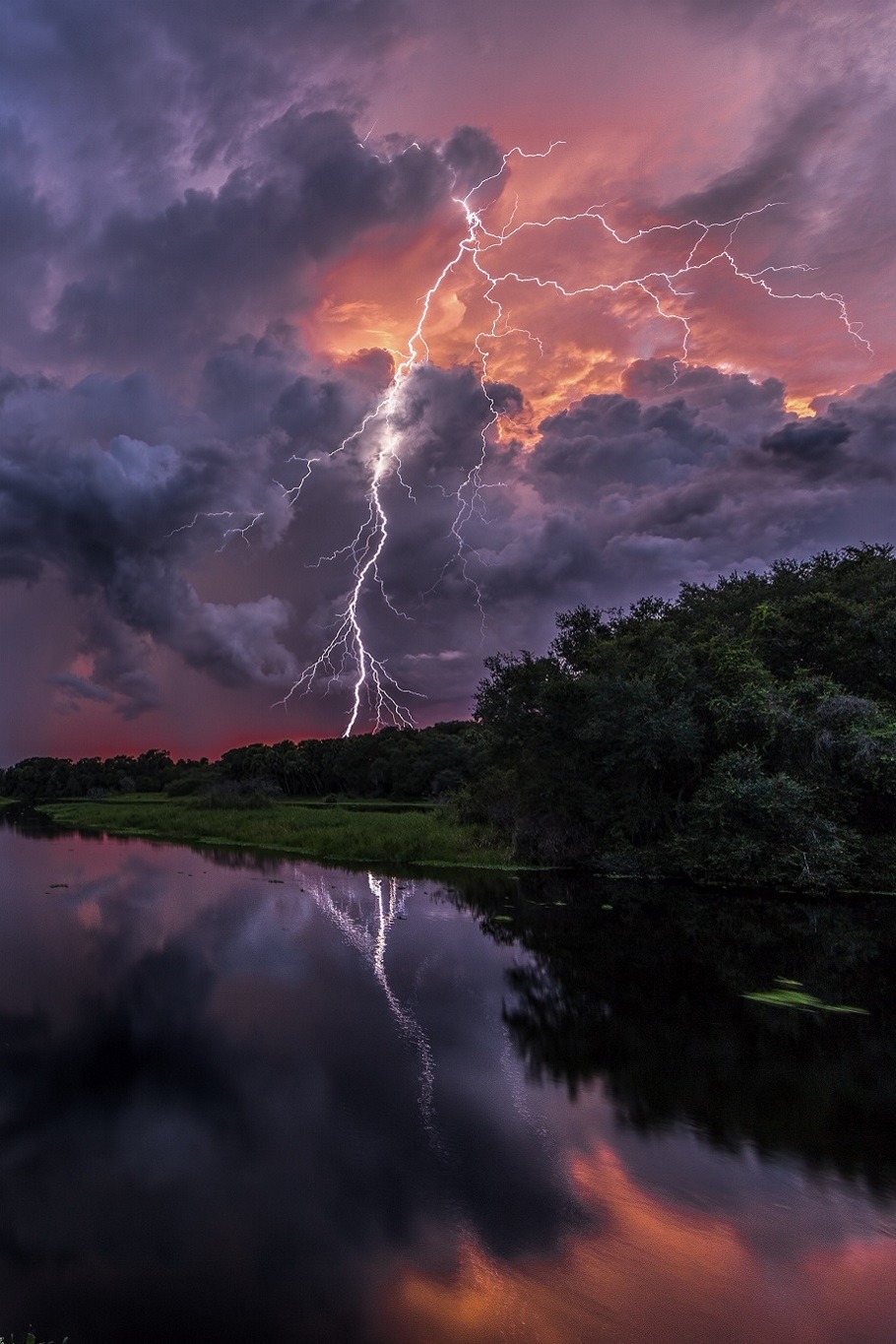 sublim-ature:  Myakka, FloridaJustin Battles 
