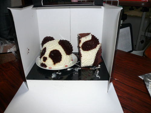 Japanese Cute PANDA Cake!! Who cuts him first? Can you eat this cake?