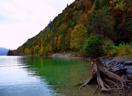 by Claude@Munich on Flickr.At the shores of Walchensee - one of the deepest and largest alpine lakes