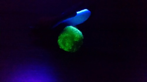 plushpangolincreations: I’ve always really loved glow-in-the-dark things. I know, many people 