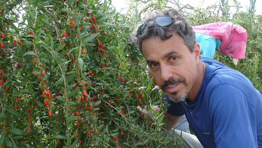 Meet Chris Kilham, medicine hunter and herb advocate
Kilham meets with harvesters, producers, healers, shamans, scientists, trade officials and indigenous people in search of botanicals with proven results.