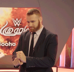sunshinesamizayn: Sami Zayn is my favourite person to make GIFs of because he’s so animated. Case in point: these are all taken from one minute of footage. 