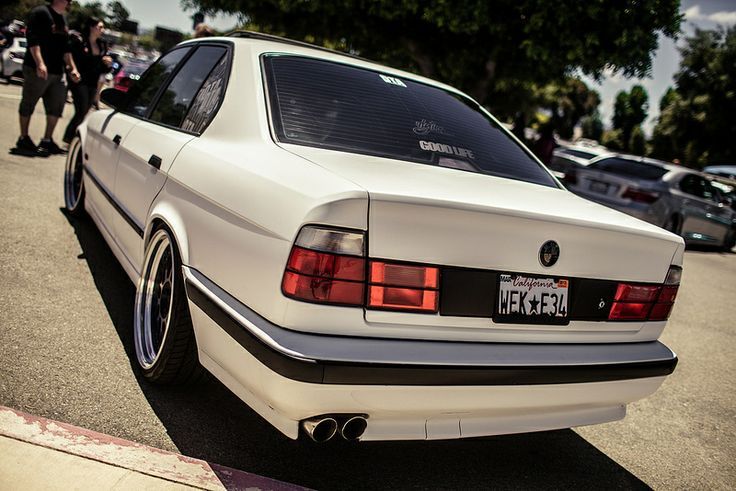 fuckyeahhellaflush:   