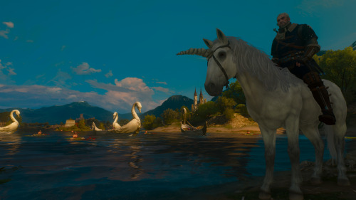 The Witcher 3