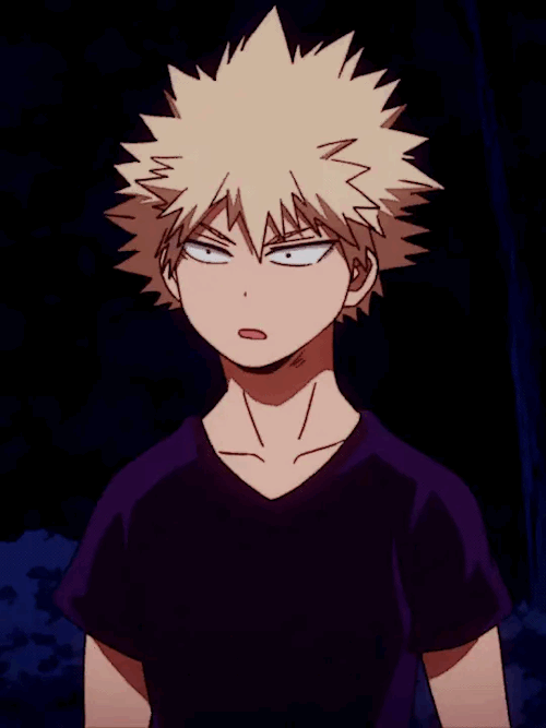 Messed Up Pro Bakugou X Reader Summary Bakugou