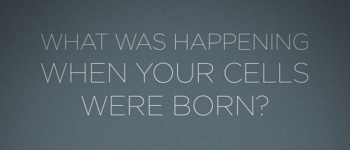 Your Body Is Constantly Refreshing Itself, Bit By Bit. But Every Cell Type Turns Over At A Different
